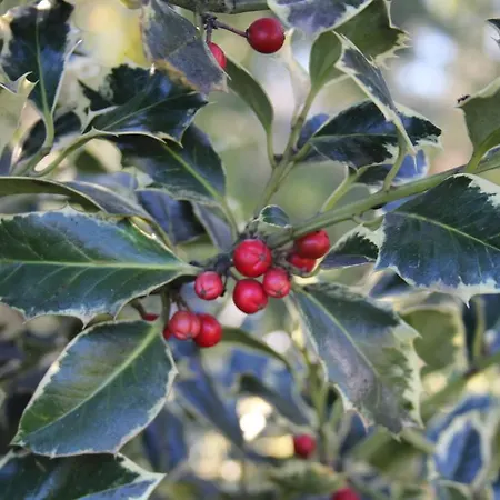 Casa De Tapadeiro Semesterbostad Resende