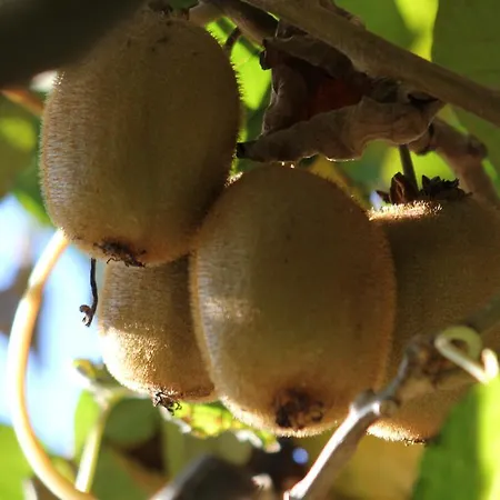 Casa De Tapadeiro Резенде