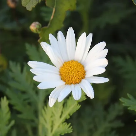 Casa De Tapadeiro Резенде