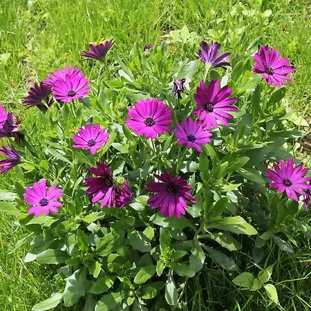 Semesterbostad Casa De Tapadeiro *