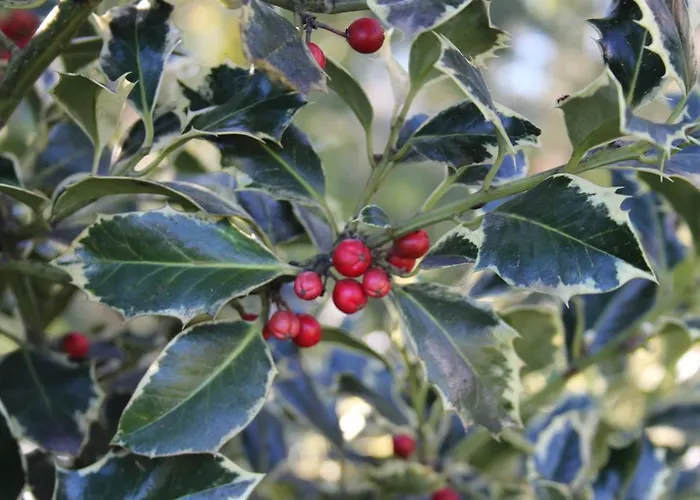 Casa De Tapadeiro Tatil Evi Resende