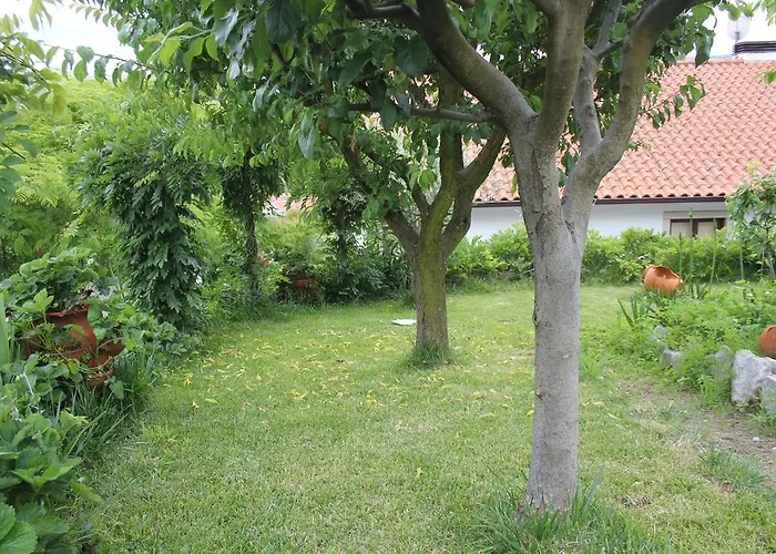 Casa De Tapadeiro * Resende