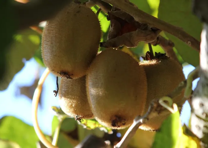 Casa De Tapadeiro Resende