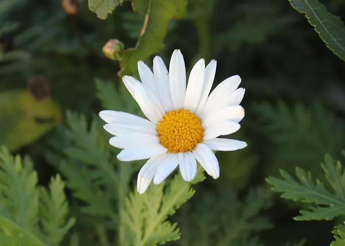 Casa De Tapadeiro Resende