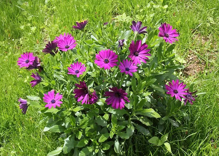 Tatil Evi Casa De Tapadeiro *